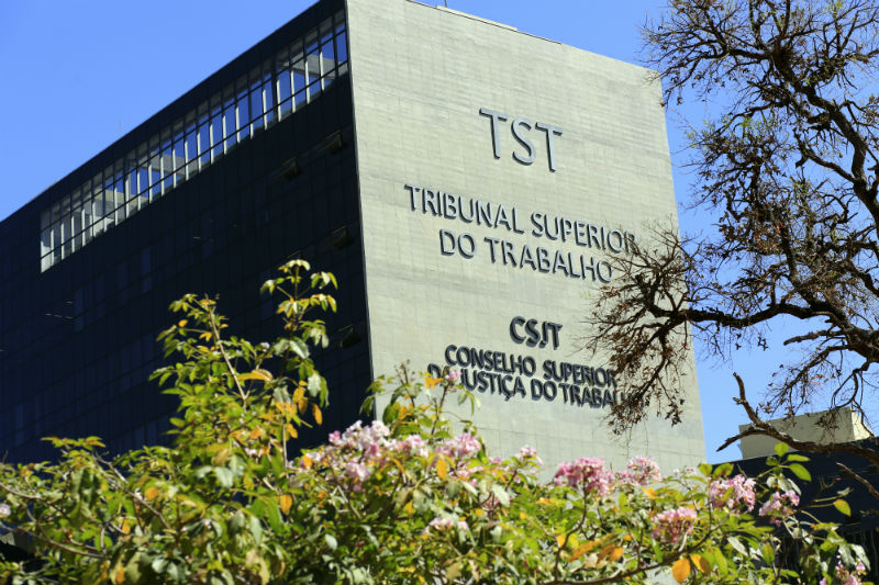 Perspectiva da fachada lateral do edifício-sede do TST e do CSJT entre a copa de duas árvores.