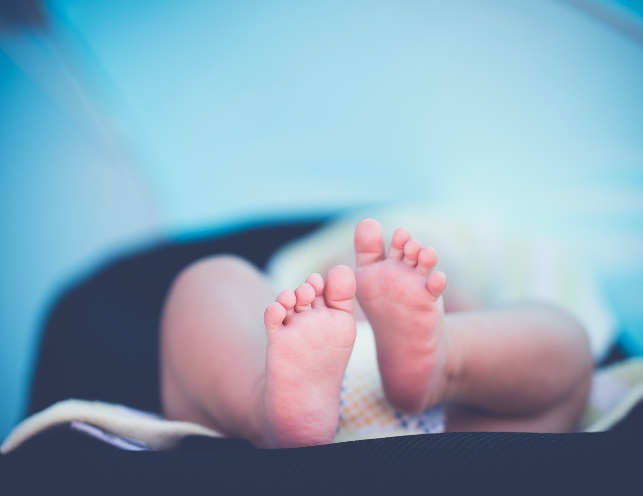Pés de uma recém-nascido (foto: pixabay)
