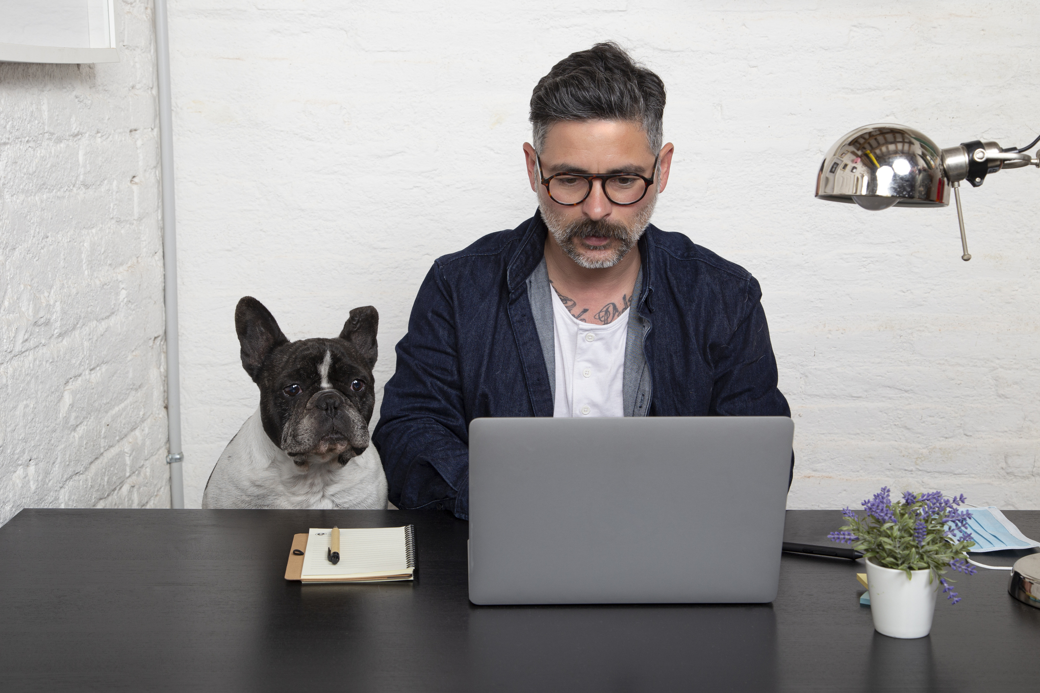 Imagem: homem trabalhando ao lado de cachorro