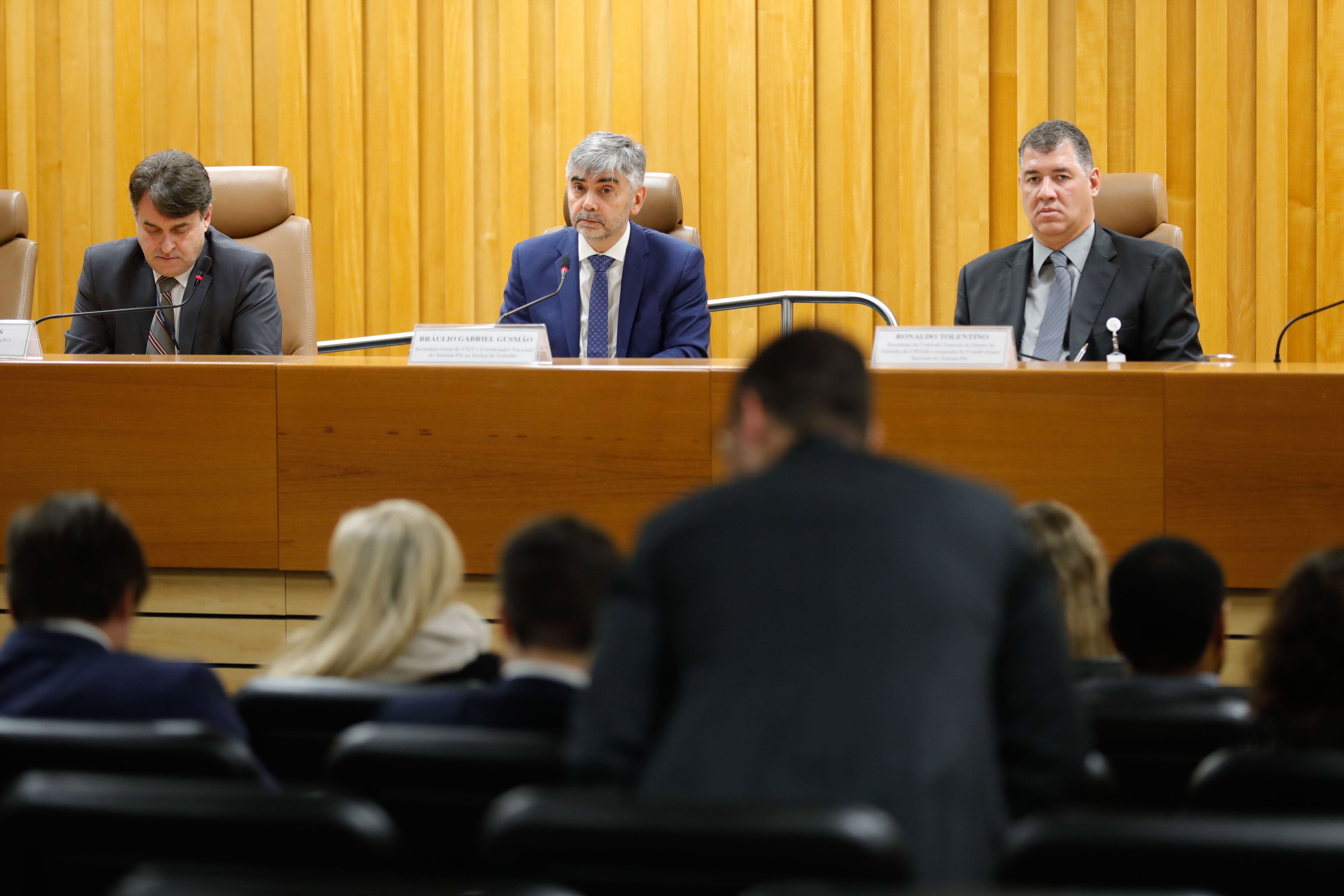 A reunião discutiu propostas e sugestões  de melhorias  para o sistema. (Foto: Fellipe Sampaio - Secom/TST - descrição da imagem no final da matéria)