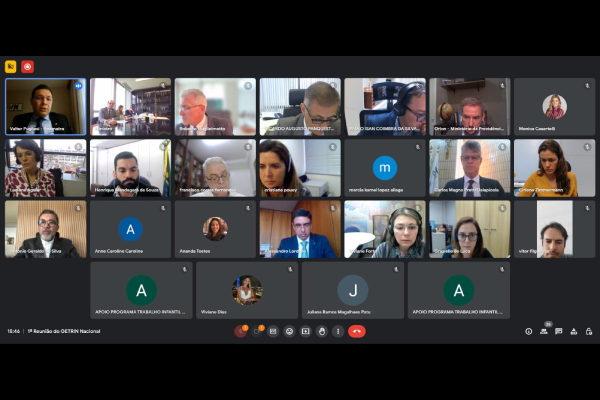 Print da tela dos (as) participantes da reunião, que foi realizada em formato virtual.