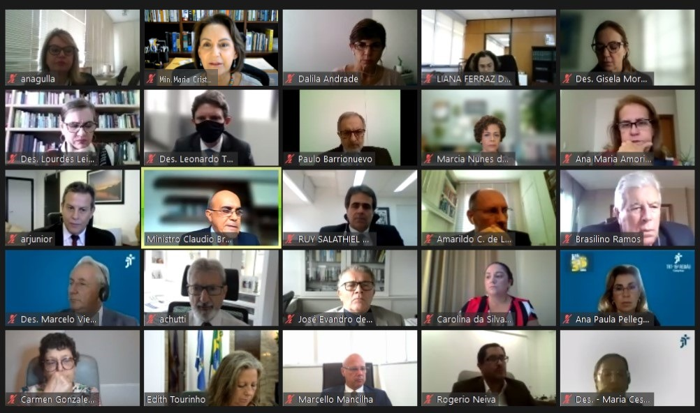 Print da tela com os participantes da reunião do Coleprecor