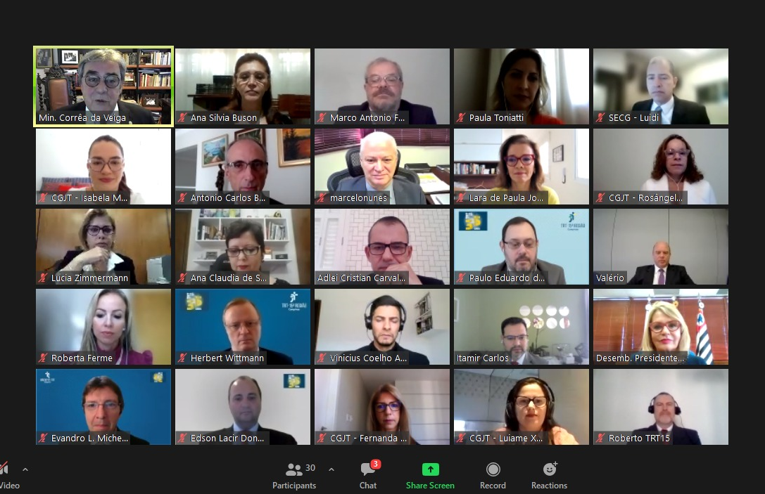 Mosaico dos participantes da reunião