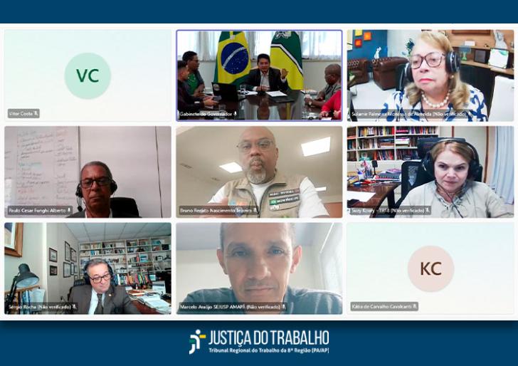 Captura de tela de uma chamada de vídeo.