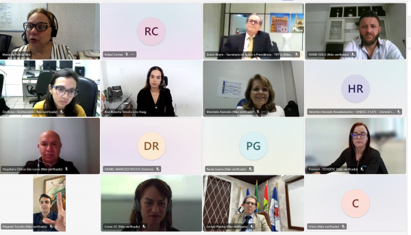 Audiência foi realizada de forma telepresencial referente às fraudes nas relações de trabalho na saúde