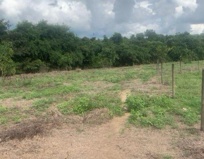 Unidade de Conservação do Meia Ponte em Pontalina referente ao TRT-GO (foto: Alex José de Pádua Silva).