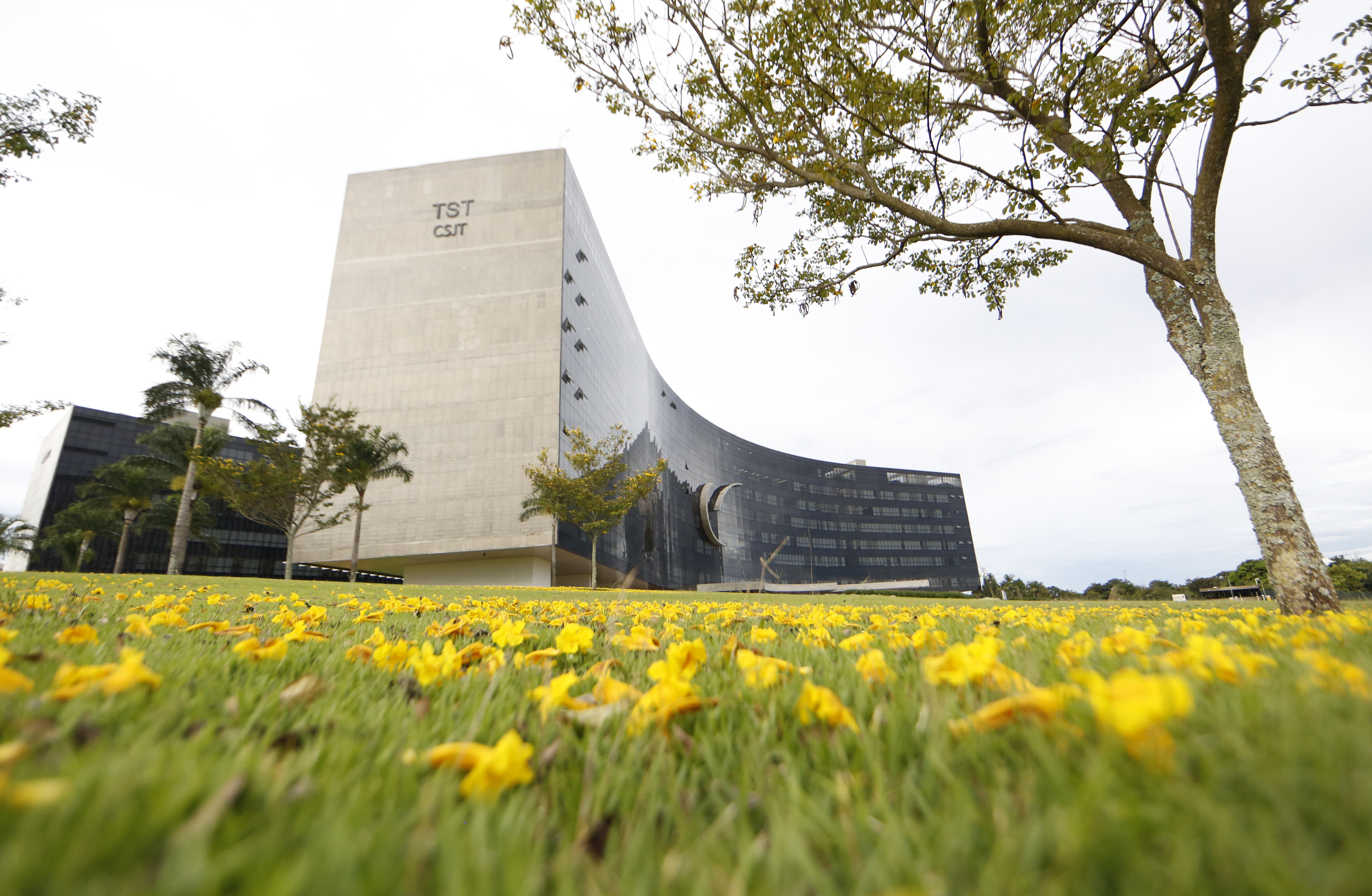 Fotografia da fachada do prédio do TST e do CSJT.