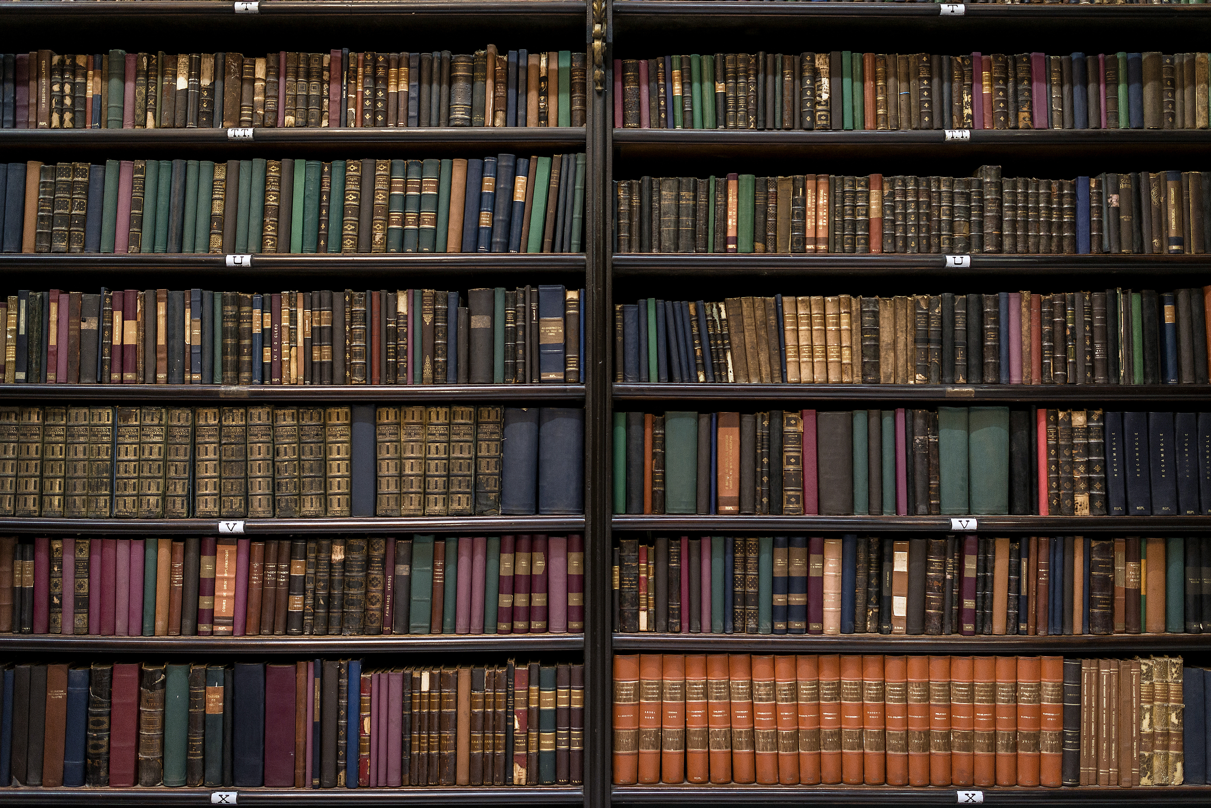 Imagem de uma biblioteca para fazer alusão à Semana Nacional do Livro e da Biblioteca do TRT-22 (PI)