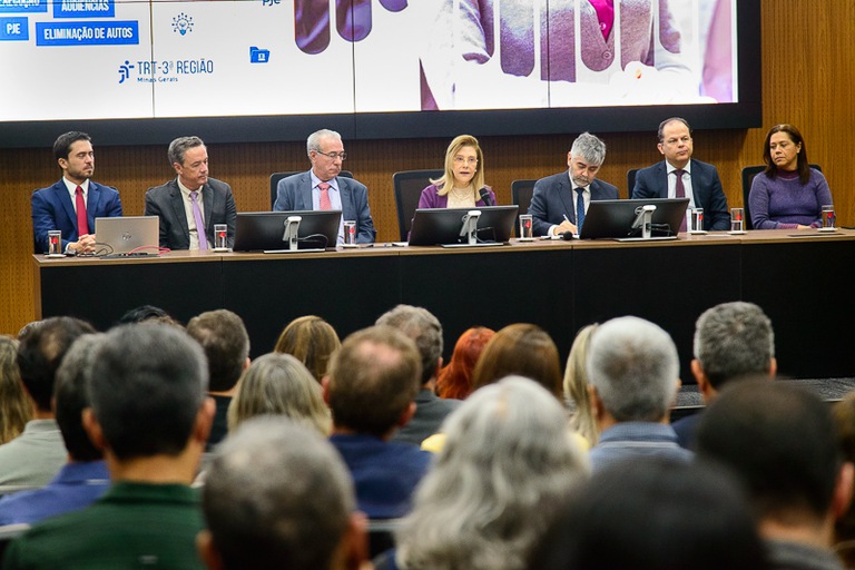 A mesa de abertura do evento foi composta pelos desembargadores Denise Alves Horta (presidente), Sebastião Geraldo de Oliveira (1º vice-presidente), Emerson José Alves Lage (2º vice-presidente); pelos juízes Bráulio Gabriel Gusmão, secretário-geral do CSJT, Renato Amado, juiz auxiliar da Presidência, Marcos César Leão, diretor do Foro da Capital, e Anaximandra Kátia Abreu Oliveira, presidente da Amatra3.