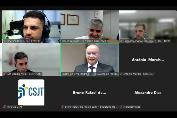 Print da tela com participantes do webinário. A sala virtual tem várias telas em mosaico.