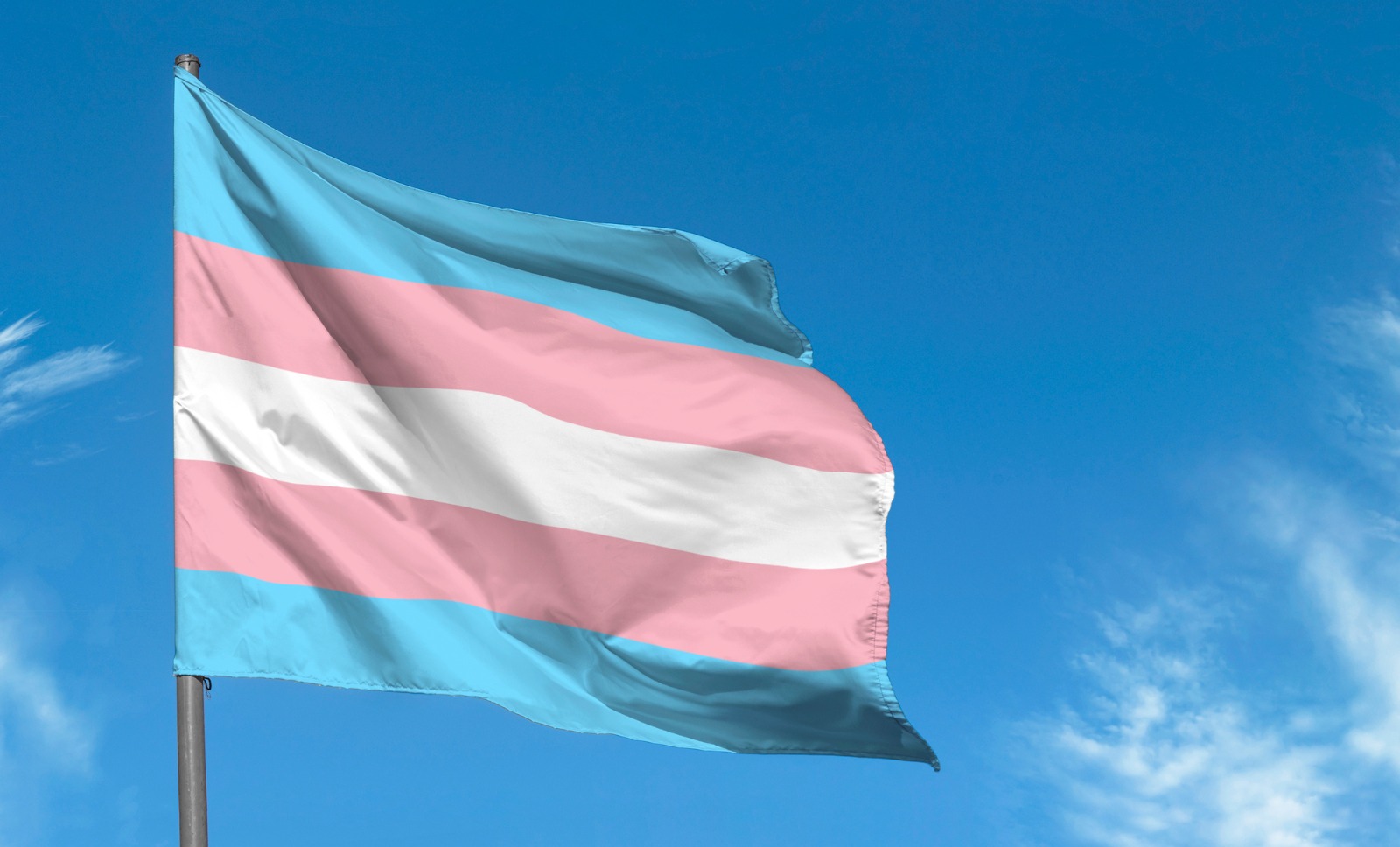 Imagem de bandeira da comunidade trans com as cores azul clara, rosa e branca.
