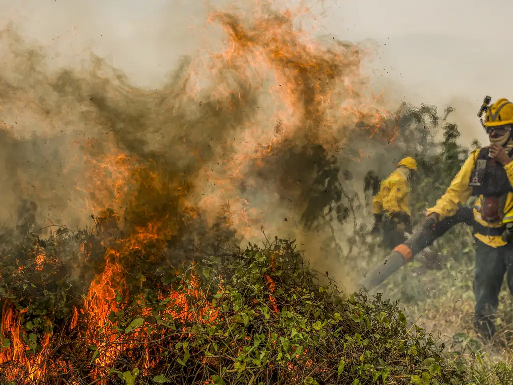 Homem vestido com proteção combate incêndio em área de vegetação