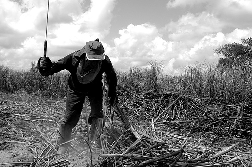 Estados assinam pacto para criar comissões de combate ao trabalho escravo