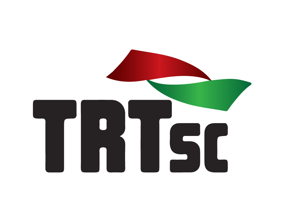 TRT da 12ª Região (SC) é destaque na Meta 8 do Plano Estratégico da Justiça do Trabalho 2017