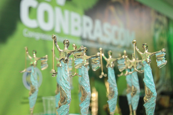 Reportagem sobre riscos do trabalho infantil urbano é finalista do XVII Prêmio Nacional de Comunicação e Justiça