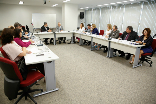 Grupo de trabalho para padronização da estrutura organizacional e de pessoal define cronograma e equipes